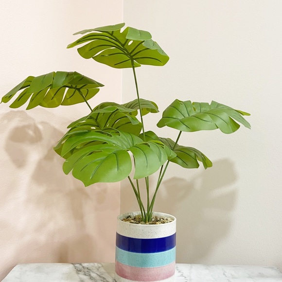 Faux Monstera Deliciosa Plant in Colorful Pot - Picture 13 of 15